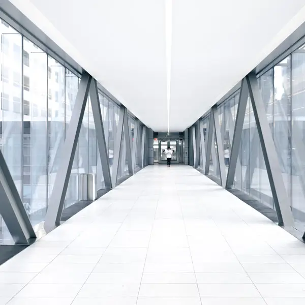 Service - Startup Advisory